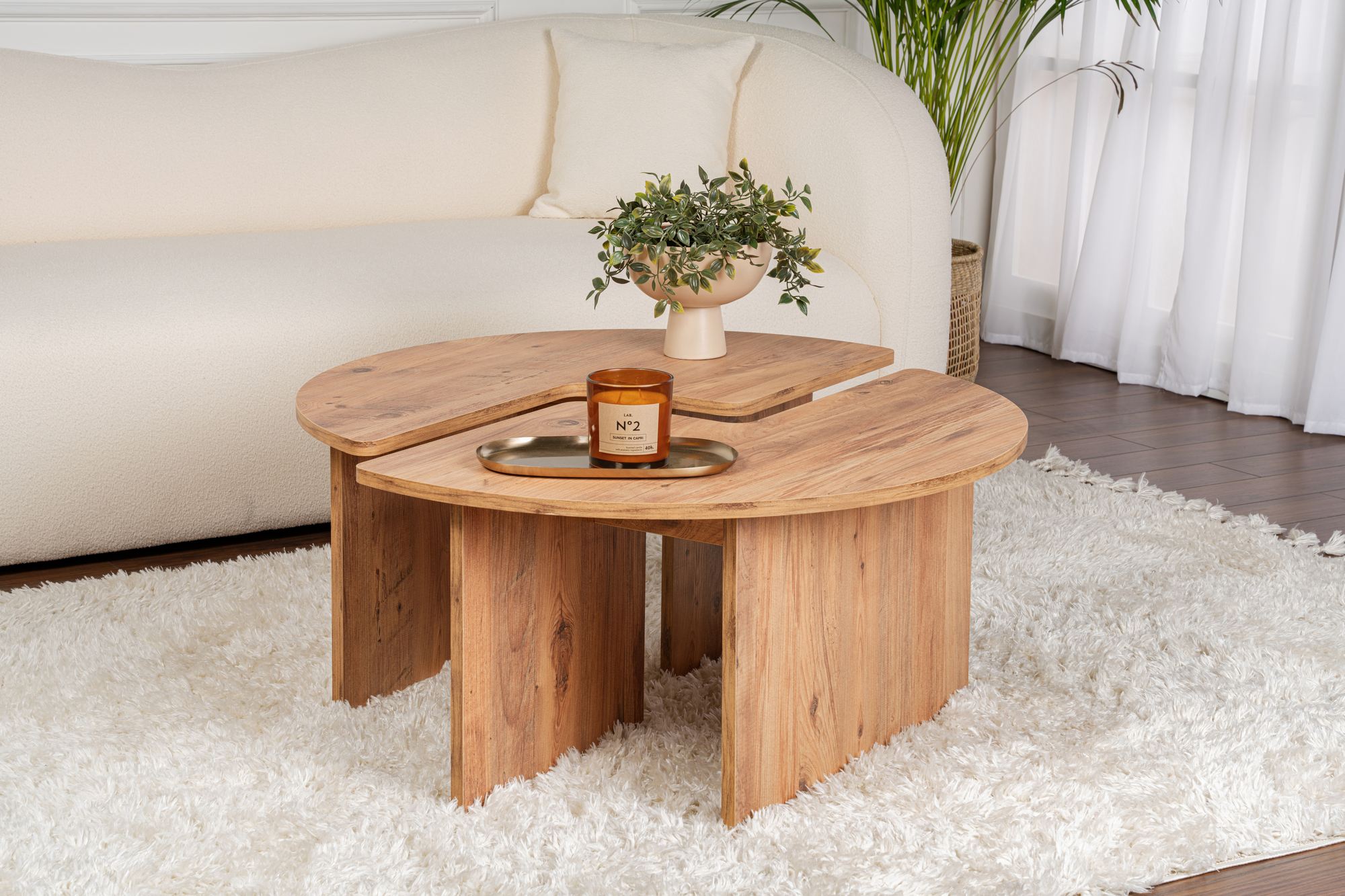 Moira – Atlantická borovica