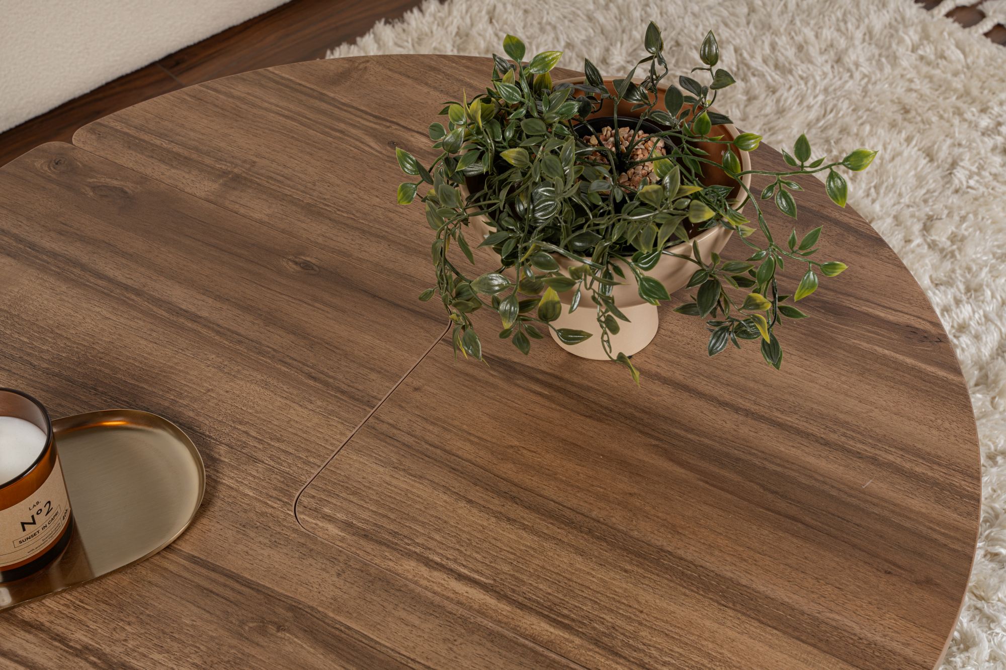 Moira – Benátsky orech