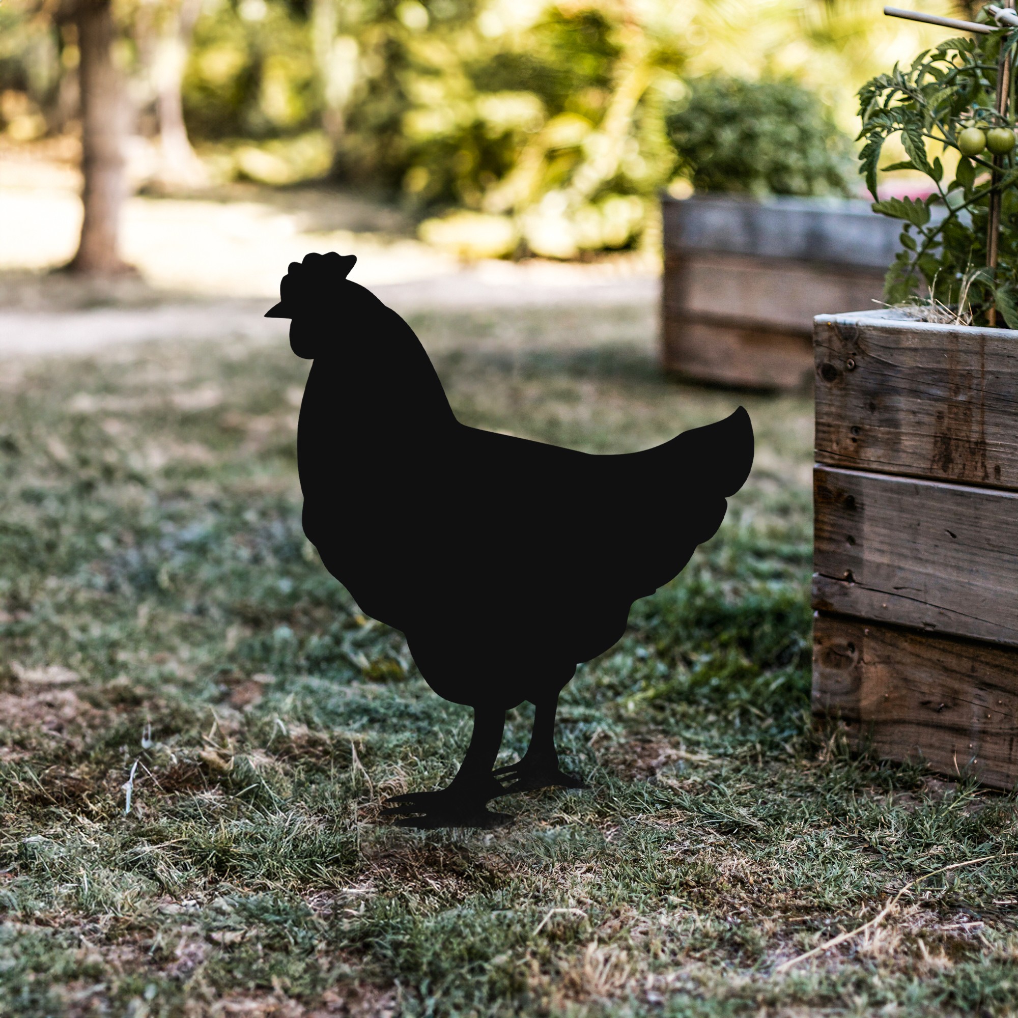 Zahradní dekorace CHICKEN ASIRGROUP (foto 697)