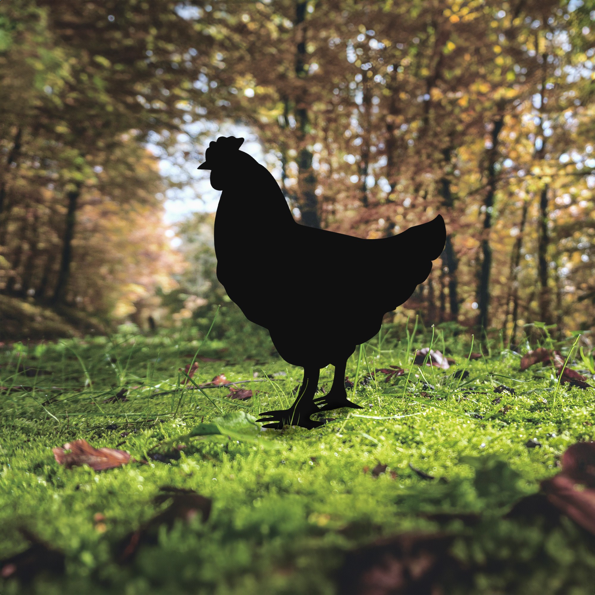 Zahradní dekorace CHICKEN ASIRGROUP (foto 698)