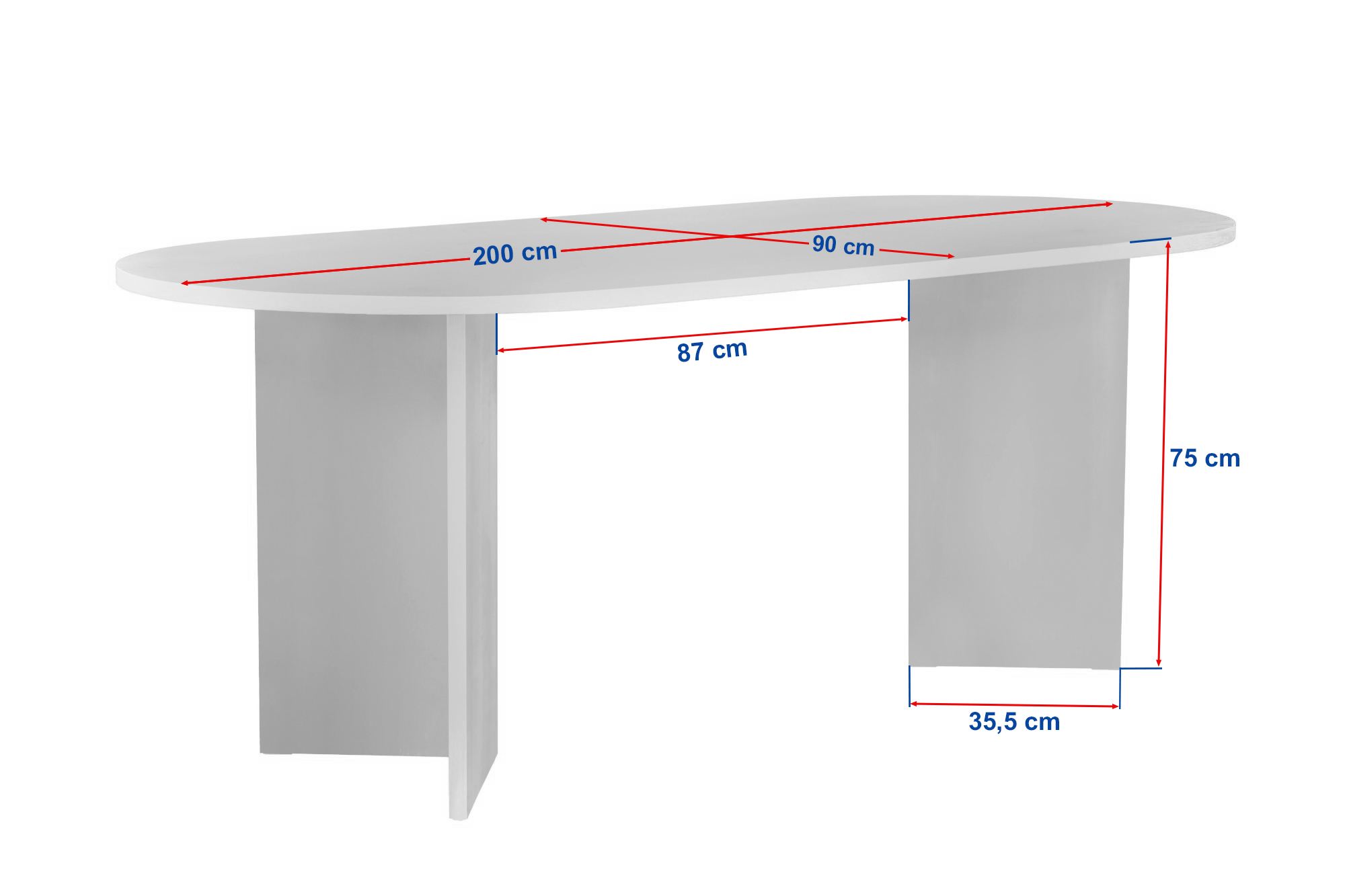 Sabella – Atlantická borovica