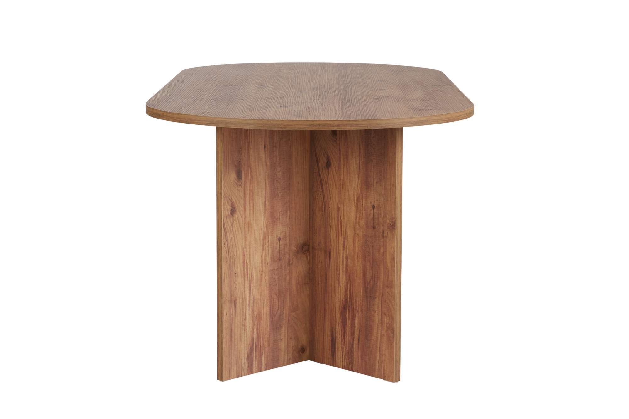 Sabella – Atlantická borovica