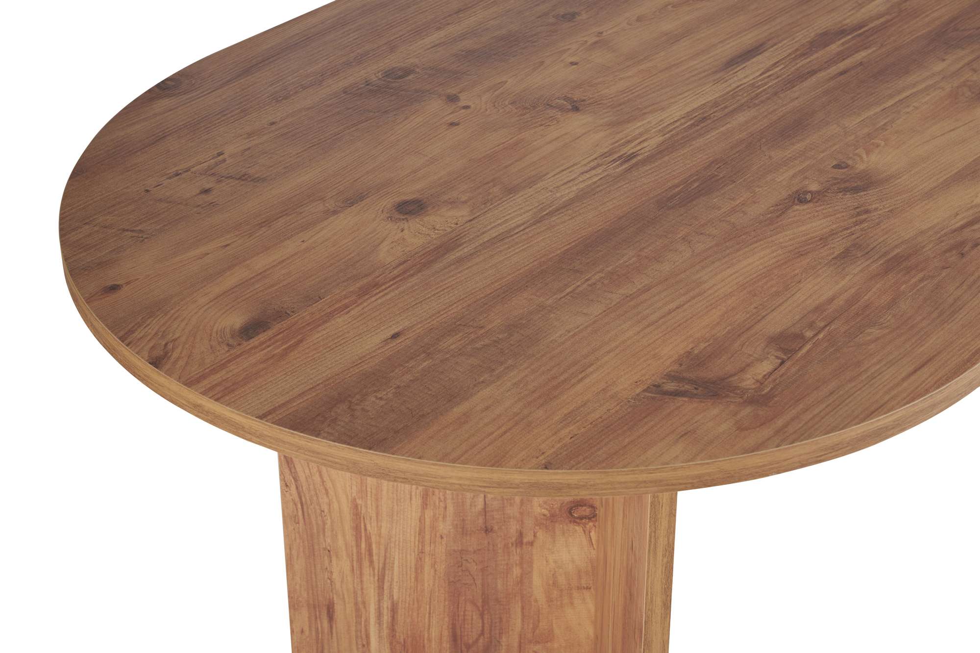 Sabella – Atlantická borovica