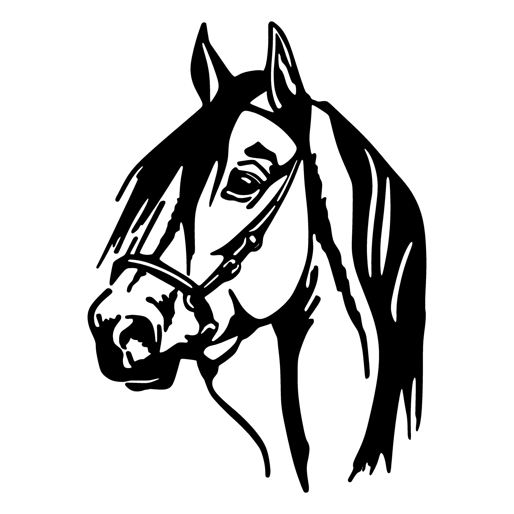 Dekorace HORSE ASIRGROUP (foto 499)