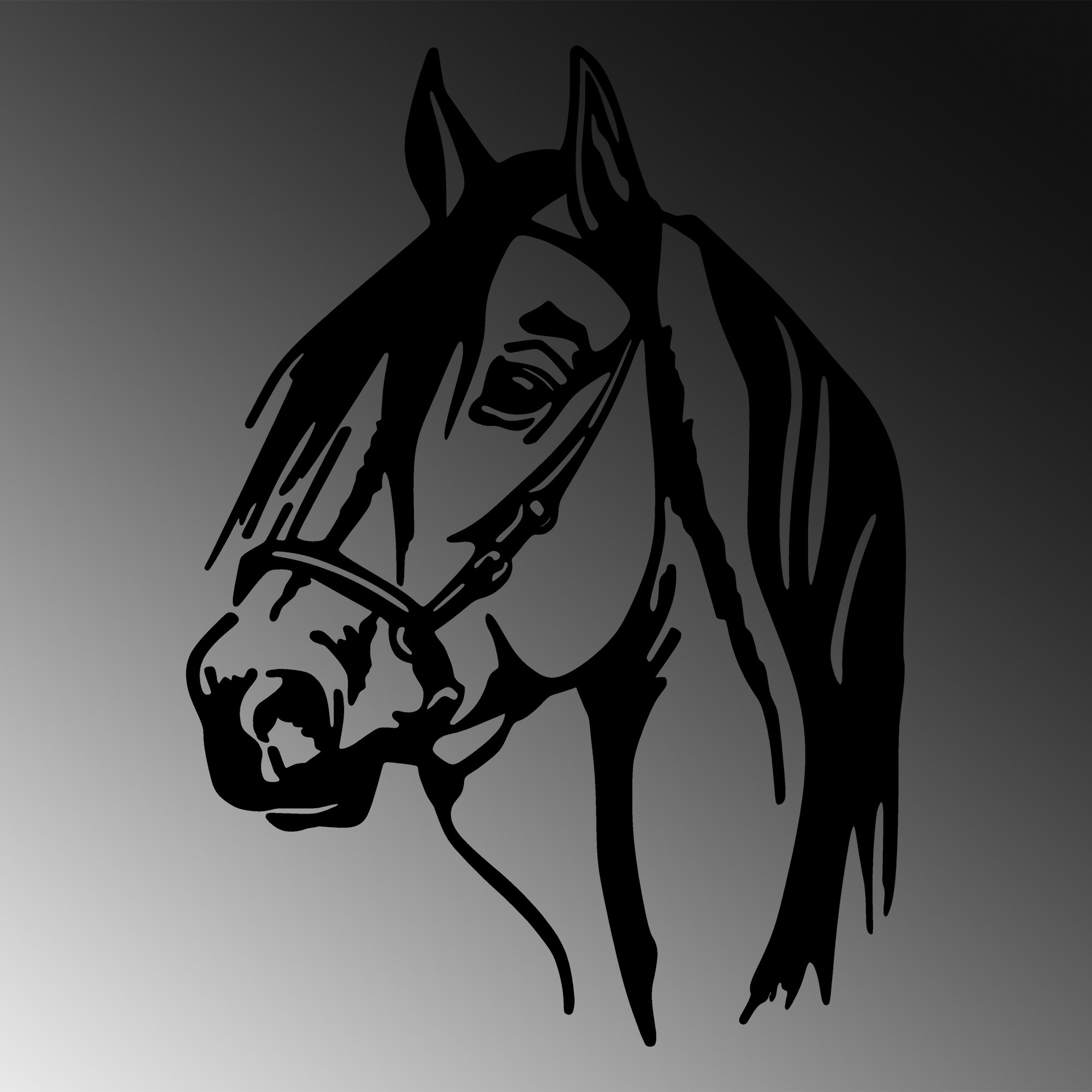 Dekorace HORSE ASIRGROUP (foto 509)