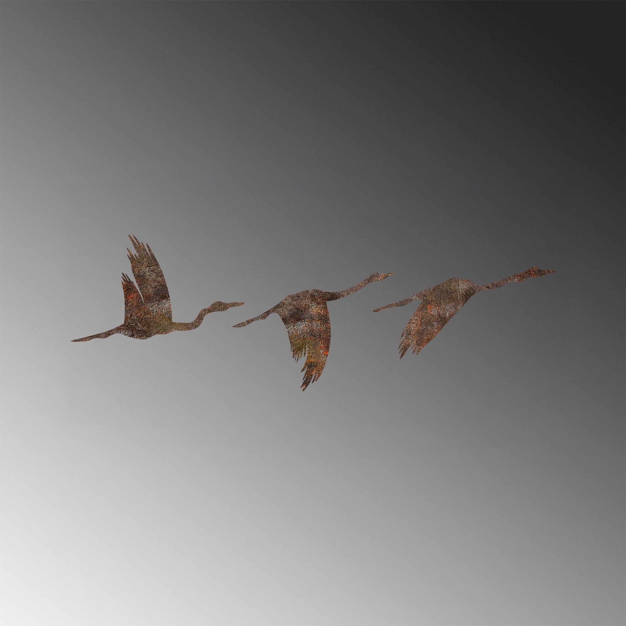 Dekorace RUSTY Birds 1 ASIRGROUP (foto 7)