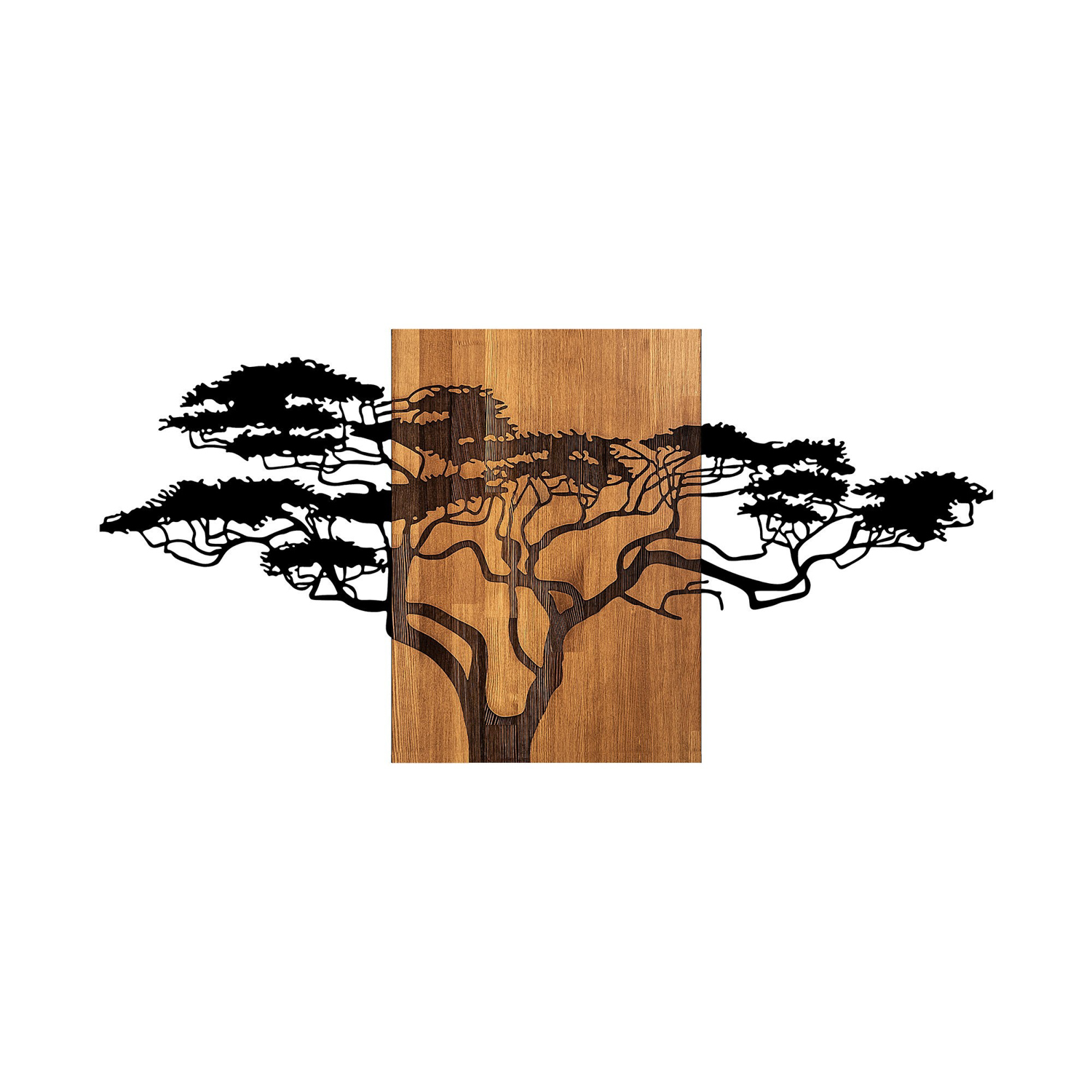 Dekorace ACACIA ASIRGROUP (foto 44)